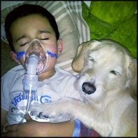 One Dog's Love for a Sick Little Boy is So Heartwarming