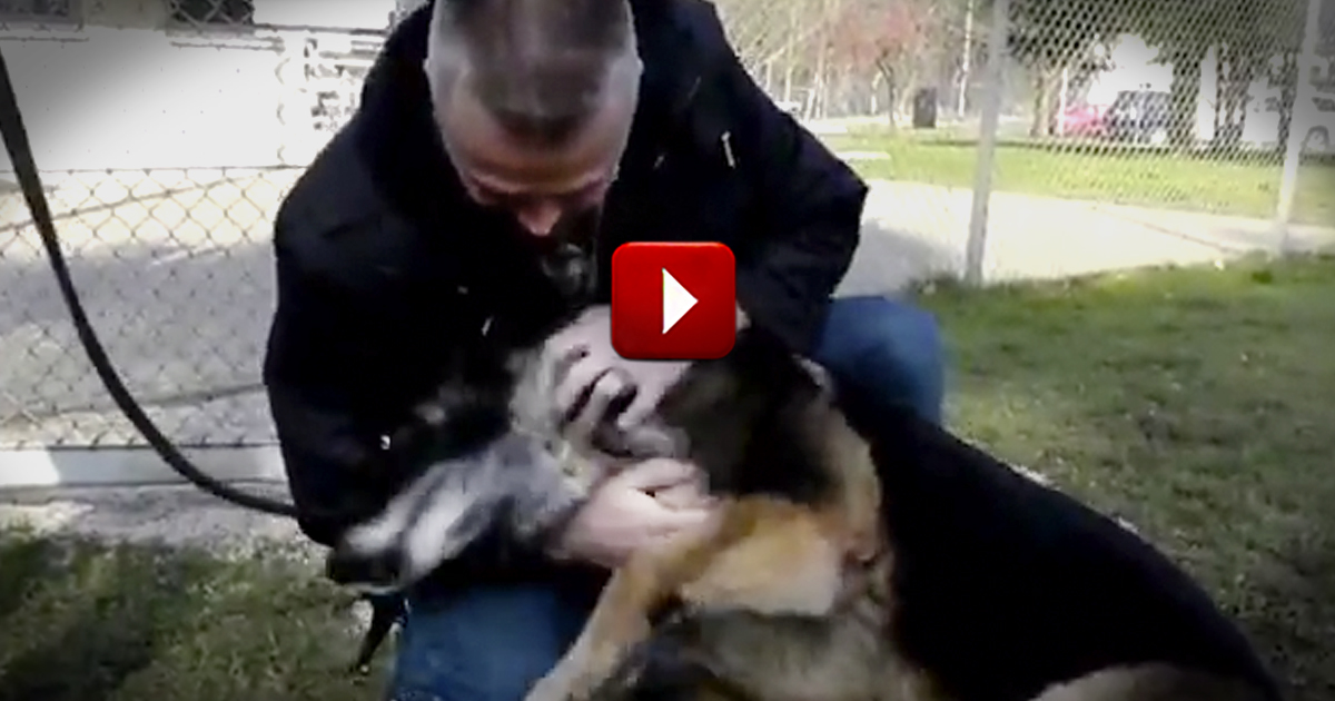 Military Man Reuniting with His Pup May be Best 18 Seconds of Your Day 