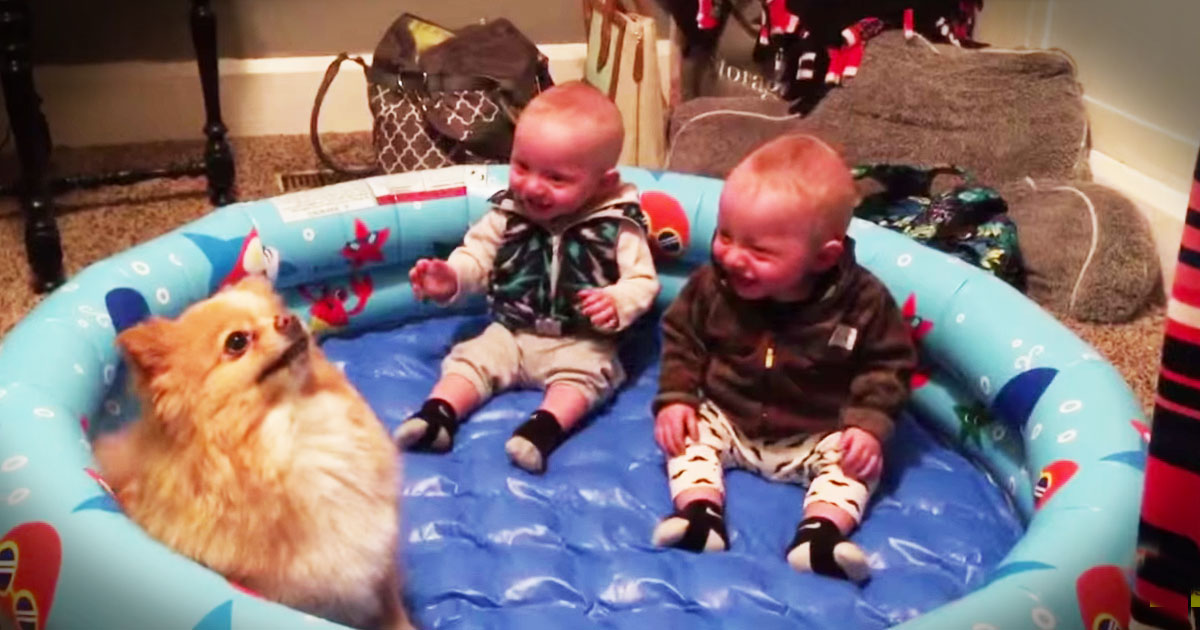 These Giggly Babies And Their Pup Just Made My Day!